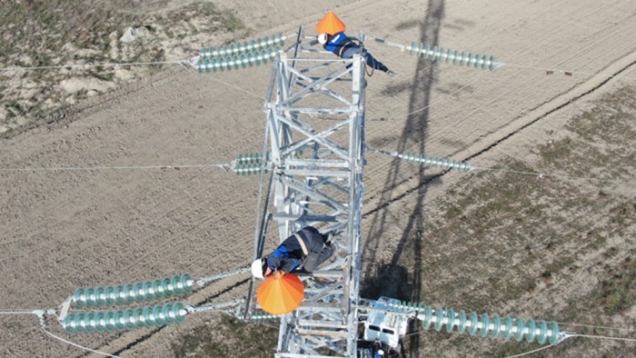 Quşların elektrik xətlərindən qorunması üçün yeni layihə hazırlandı - VİDEO